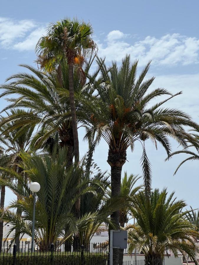 San Agustin Apartments , Close To The Beach, With Pool! San Bartolomé Eksteriør billede