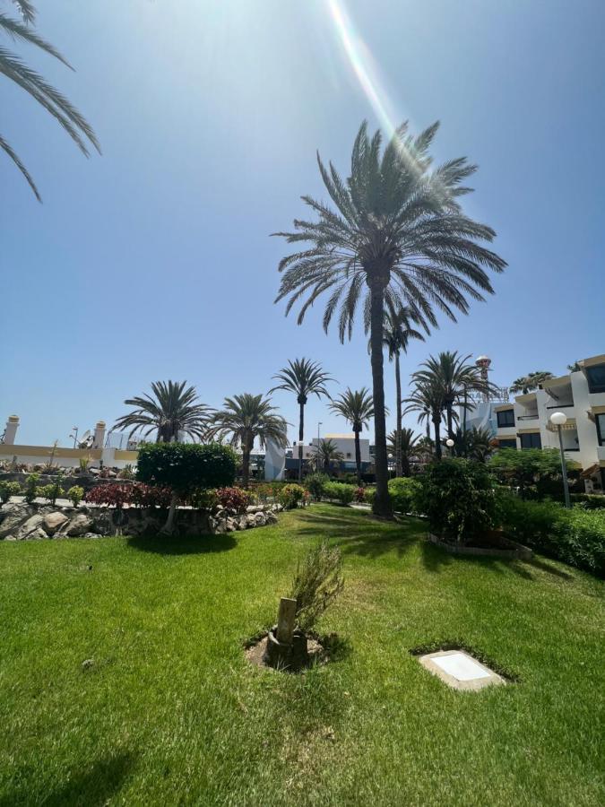 San Agustin Apartments , Close To The Beach, With Pool! San Bartolomé Eksteriør billede